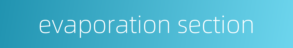 evaporation section的同义词