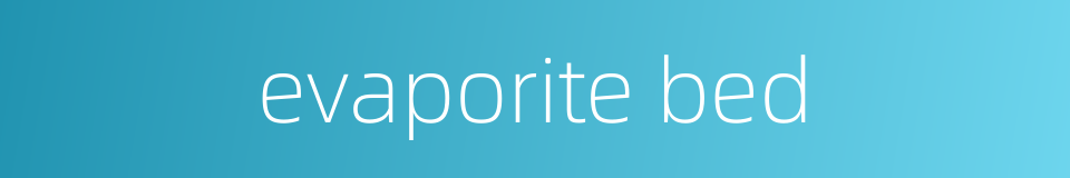 evaporite bed的同义词