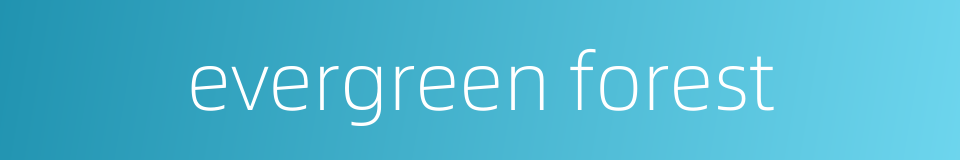 evergreen forest的同义词