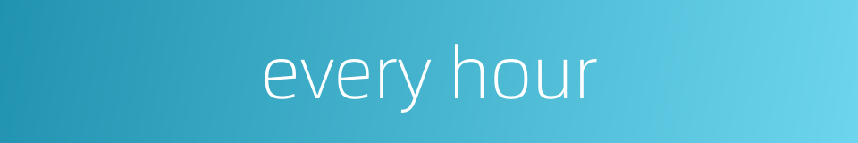 every hour的同义词