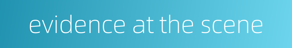 evidence at the scene的同义词