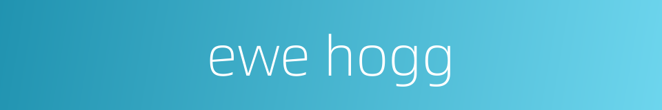 ewe hogg的同义词