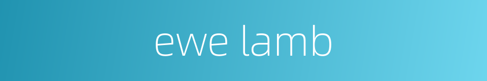 ewe lamb的同义词