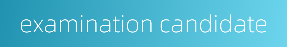 examination candidate的同义词