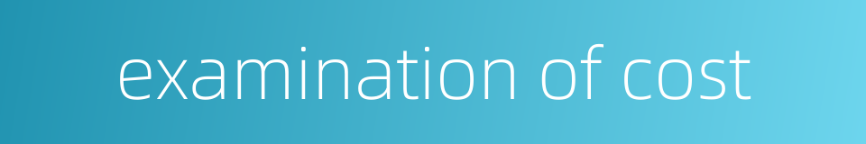 examination of cost的同义词