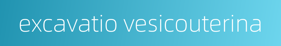 excavatio vesicouterina的同义词