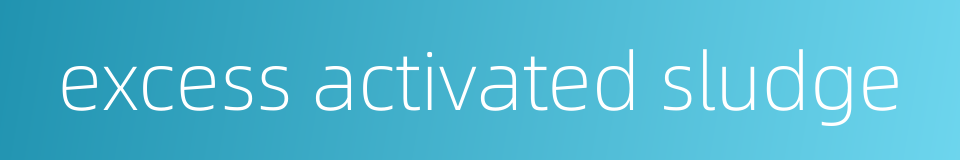 excess activated sludge的同义词