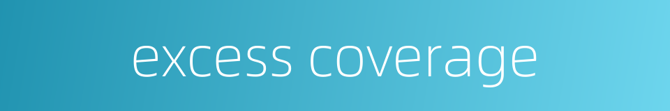 excess coverage的同义词