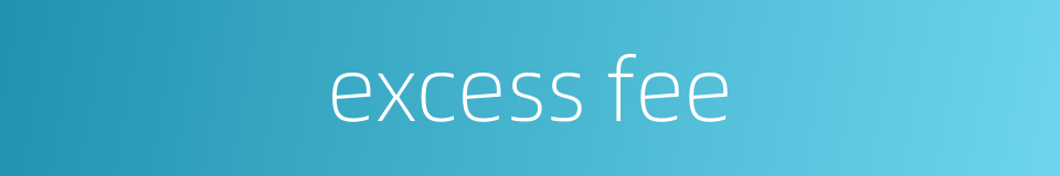 excess fee的同义词