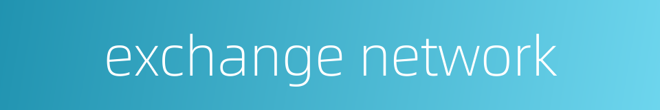 exchange network的同义词