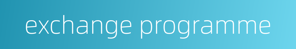 exchange programme的同义词
