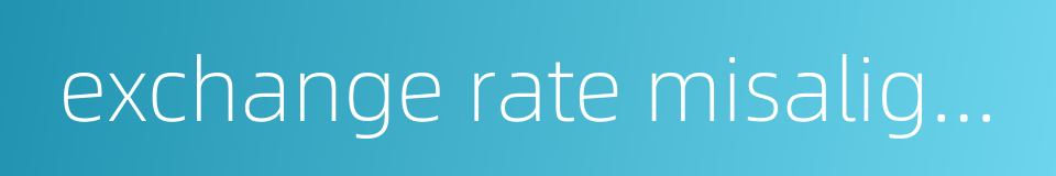 exchange rate misalignment的同义词