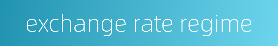 exchange rate regime的同义词