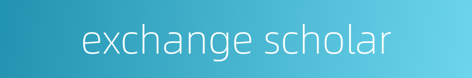 exchange scholar的同义词