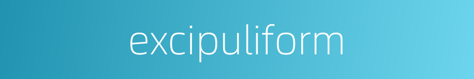 excipuliform的同义词