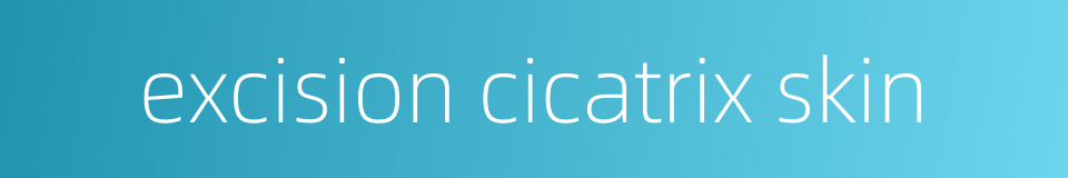 excision cicatrix skin的同义词