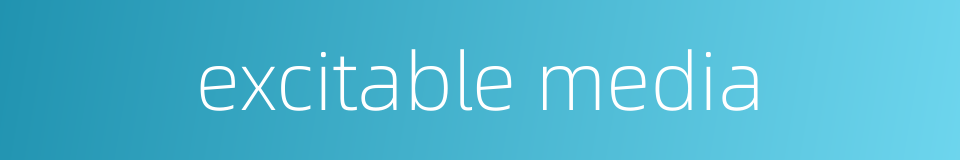 excitable media的同义词
