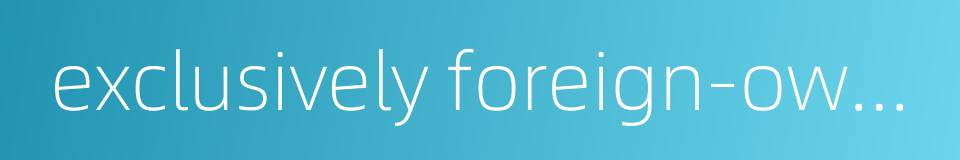 exclusively foreign-owned enterprise的同义词