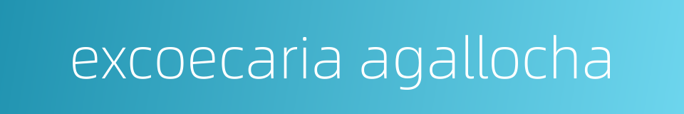excoecaria agallocha的同义词