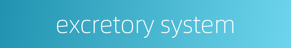 excretory system的同义词