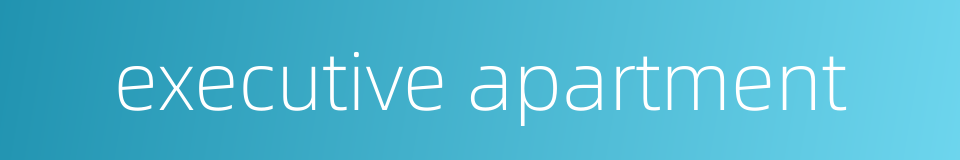 executive apartment的同义词