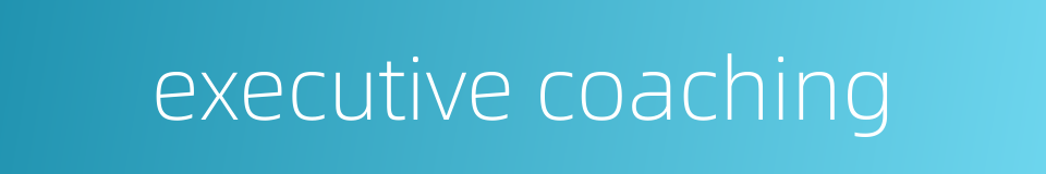 executive coaching的同义词