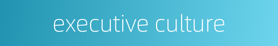 executive culture的同义词