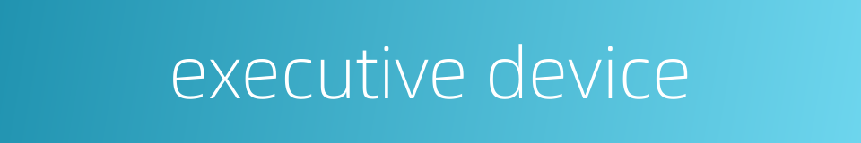 executive device的同义词