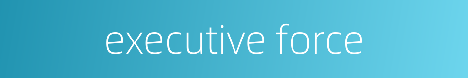 executive force的同义词