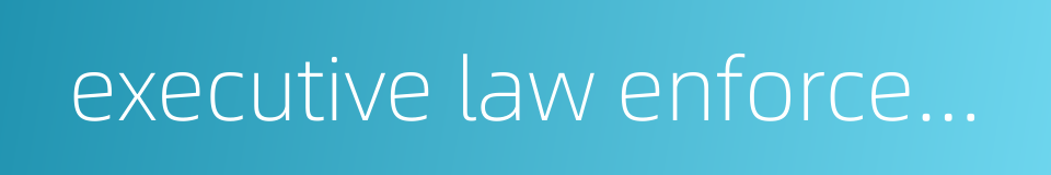 executive law enforcement的同义词