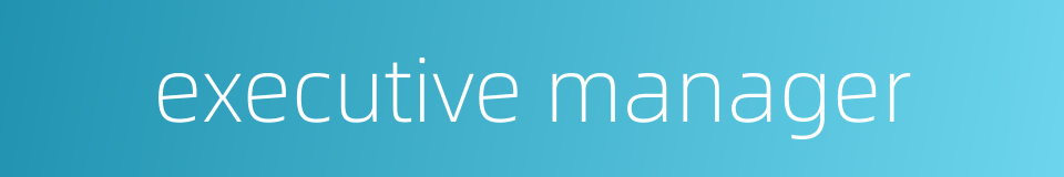 executive manager的同义词