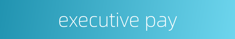 executive pay的同义词