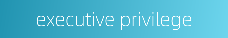 executive privilege的同义词