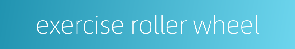 exercise roller wheel的同义词