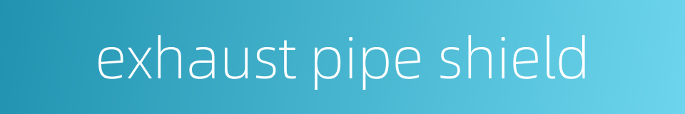 exhaust pipe shield的同义词