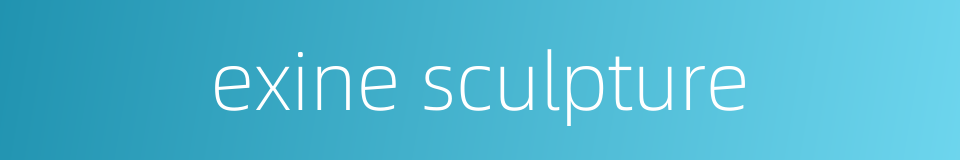 exine sculpture的同义词