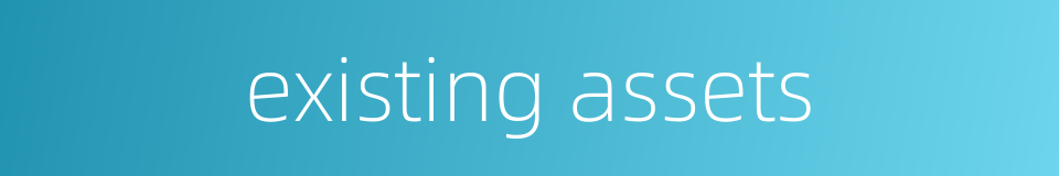existing assets的同义词