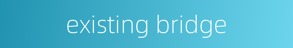 existing bridge的同义词