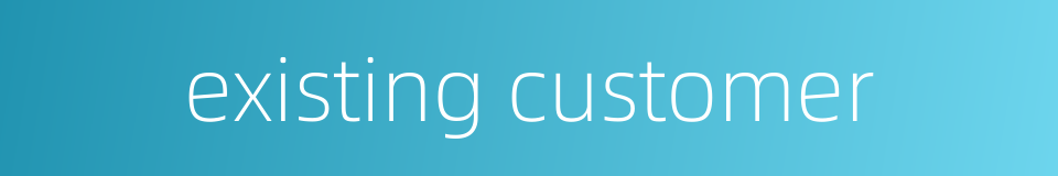 existing customer的同义词