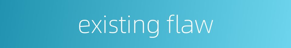 existing flaw的同义词