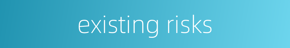 existing risks的同义词
