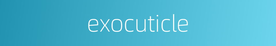 exocuticle的同义词