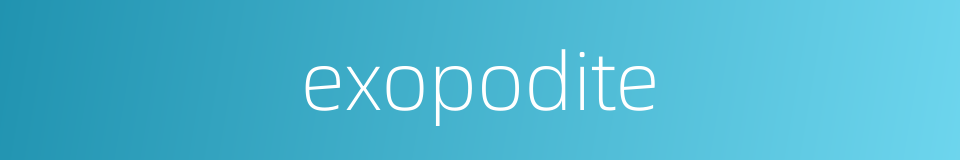 exopodite的同义词