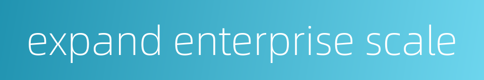 expand enterprise scale的同义词