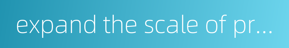 expand the scale of production的同义词
