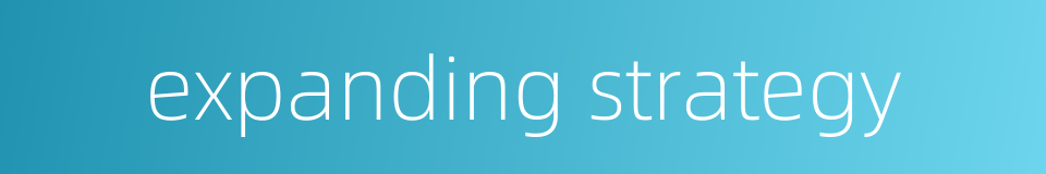 expanding strategy的同义词