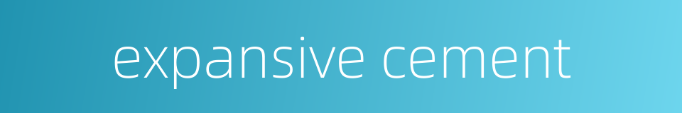 expansive cement的同义词