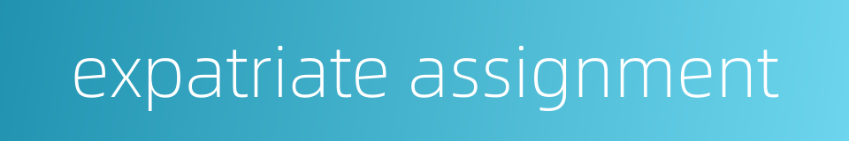 expatriate assignment的同义词