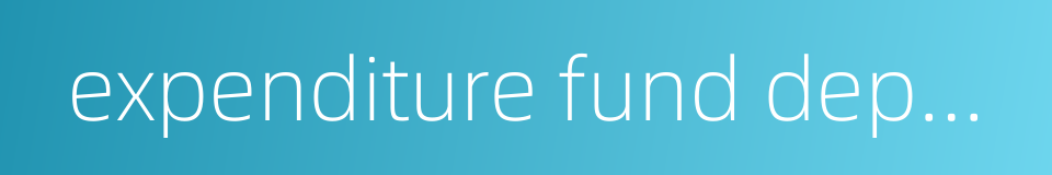 expenditure fund deposit的同义词
