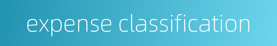 expense classification的同义词